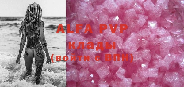амф Великий Новгород