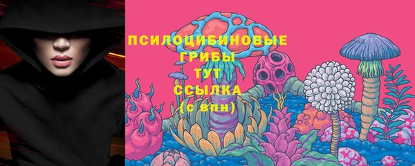 героин Алексин