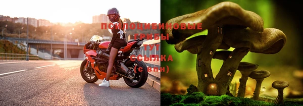амф Братск