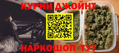 шишки Моздок