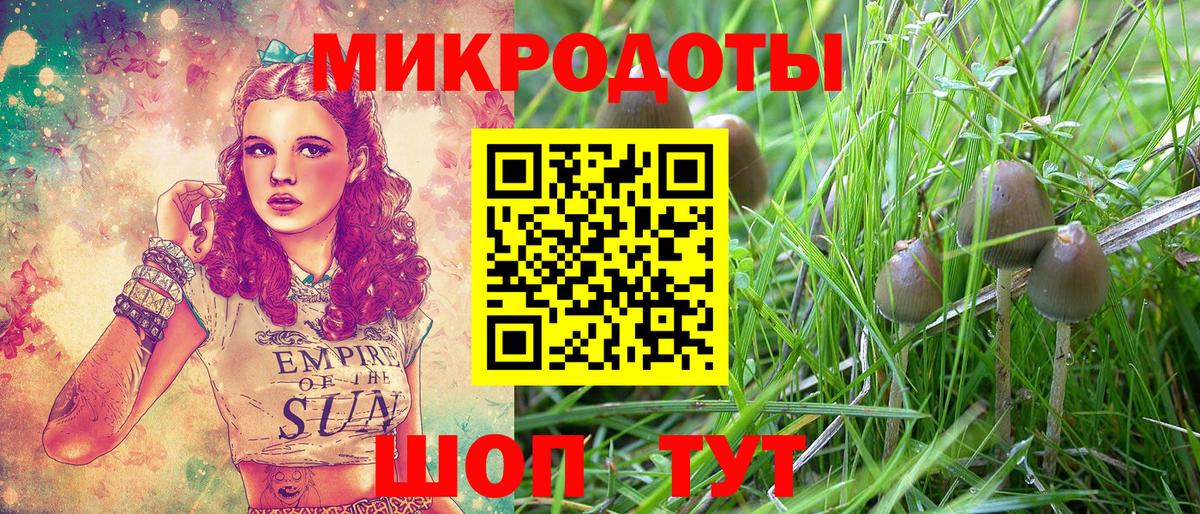 Геленджик  Псилоцибиновые грибы ЛСД  Вход с VPN 