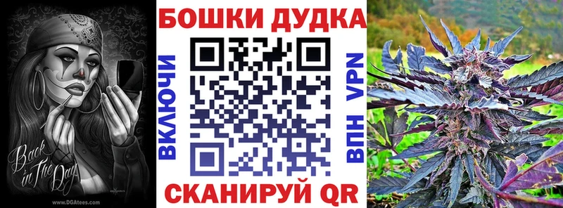 Бошки Шишки семена  Геленджик 